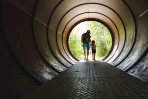https://utopia.kulturleben-berlin.de/wp-content/uploads/sites/10/2025/07/naturparksuedgelaende_pressefotos_roehre_c_konstantinboerner